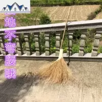 金丝铁树铁扫把条扫扫把环卫工人工厂扫灰院子用扫树叶的扫帚 三维工匠