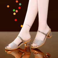 2019夏季新款女士凉拖鞋粗跟中跟时尚凉鞋露趾韩版性感百搭凉鞋女高跟套脚凉鞋 威珺