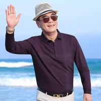 爸爸秋装长袖T恤2021新款中年男士春秋上衣中老年人秋衣POLO衫男衫伊格