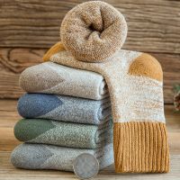 5双装儿童袜子秋冬保暖加厚加绒毛圈袜学生中大童宝宝袜男女小孩衫伊格