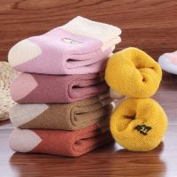 5双加绒加厚毛圈袜儿童袜子男女童宝宝保暖袜中大童秋冬季厚袜子衫伊格