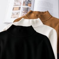 毛衣男韩版秋冬季纯色修身半高领套头针织衫青少年学生保暖打底衫衫伊格