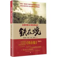 铁在烧魏纪奎 等 著