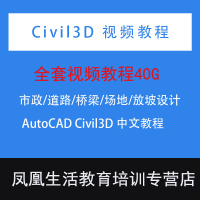 Civil 3D中文视频教程AutoCAD Civil3D 市政道路桥梁场地放坡()