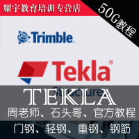 Tekla structures Xsteel软件教程50G视频教程钢结构送软件工具()