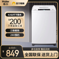 海尔 (Haier )波轮洗衣机6.5公斤容量全自动家用波轮洗衣机小型洗衣机EB65M019