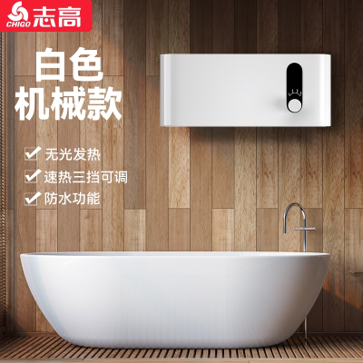 志高(CHIGO)取暖器速热家用浴室洗澡卫生间壁挂式挂墙小型浴霸暖风机