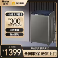统帅(Leader)海尔出品12公斤大容量波轮洗衣机全自动 风暴洗去顽渍 洗衣参数可调节 TQB120-Z958