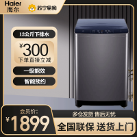 海尔(Haier)12公斤直驱变频全自动波轮洗衣机大容量家用商用除菌洗直驱变频一级能效 XQB120-BZ3088