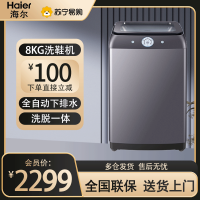 海尔(Haier)洗鞋机8公斤容量 全自动刷鞋机可脱水家用智能洗脱一体多功能懒人洗鞋器迷你免拆鞋带 HQ2-T51U1