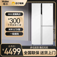 海尔(Haier) 对开门冰箱501升容量风冷无霜 一级能效嵌入式对开三门T型冰箱BCD-501WLHTS79W9U1