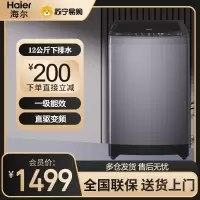 海尔(Haier)洗衣机 12公斤波轮家用全自动大容量直驱变频智能洗脱一体一级能效洗衣机 EB120B35Mate3