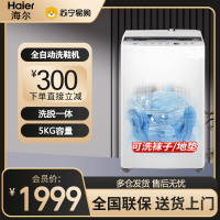 海尔(Haier)全自动多功能家用小型洗鞋机电离除菌洗脱一体懒人洗鞋神器风干多用刷鞋机洗地垫洗袜子HQ2-T55W21