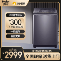 海尔(Haier)波轮洗衣机10公斤大容量家用全自动直驱变频一级能效 洗脱一体双动力防缠绕XQS100-BZ368T