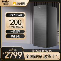 海尔(Haier)立式无霜冰柜一级能效电脑温控全温区冷藏冷冻保鲜立式冷冻柜BD-210WGHS9