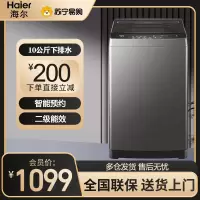 海尔(Haier)波轮洗衣机10公斤大容量 家用全自动洗衣机自编程 除螨 洗漂脱可调 速洗 XQB100-Z606