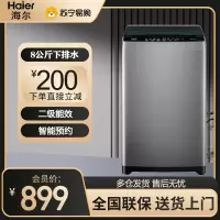 海尔(Haier)波轮洗衣机小型全自动家用 8公斤容量 一体盖全桶换风 宿舍出租房 EB80Z33Mate1