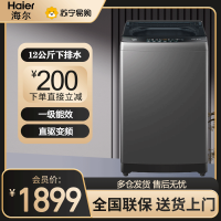 海尔(Haier)波轮洗衣机全自动 12公斤大容量 漩瀑洗 全桶换风 除菌 直驱变频 桶自洁EB120B53Mate1