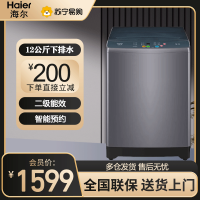 海尔(Haier)波轮洗衣机12公斤大容量 全自动家用 二级能效洗脱一体超净洗 智能预约 TQB120-Z960