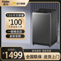 海尔(Haier) 12公斤 变频 全自动 波轮洗衣机 超净洗 除菌除螨 政府补贴 自编程 XQB120-BZ20L0
