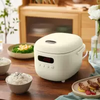 小熊(Bear)电饭煲智能家用多功能2L迷你全自动柴火饭预约煲汤煮粥锅煮饭煲2L DFB-B20N2