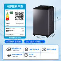 海尔(Haier)云溪 XQS100-BE77L 10kg 变频双动力 波轮洗衣机 电离除菌 后控 触控屏 精华洗