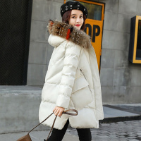 棉衣女2019新款女装冬季外套韩版棉服中长款大码加厚学生棉袄上衣臻依缘