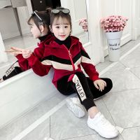 女童秋装金丝绒套装2020新款洋气儿童网红大童装女孩春秋季运动潮臻依缘