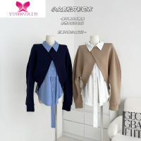 YUNWUXIN林十一韩系宽松套头圆领卫衣女秋季设计感小众交叉叠搭长袖上衣