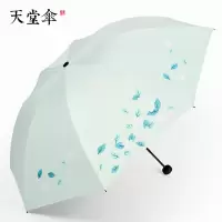天堂伞伞晴雨伞女折叠两用小清新黑胶防晒太阳伞女神遮阳伞 绿色