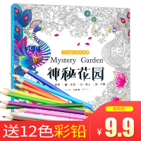 送12色蜡笔 秘密花园正版填色书成人解压奇幻森林手绘涂色书神秘花园 密密花园绘画图画本儿童版梦幻童话彩绘本减压画册本