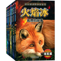 沈石溪动物小说鉴赏(8册) 狼王豺王鹰王等 经典中国儿童文学 学生课外读物绘画卡通故事书彩绘插图少儿艺术儿童读物