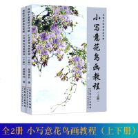 小写意花鸟画教程(上下)全2册传统中国画技法详解 皇甫秉钧著 零基础学国画入基础教程美术初学梅兰竹菊花卉翎毛画法