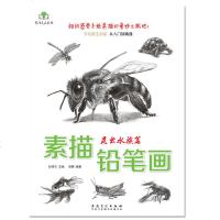 正版全新素描铅笔画昆虫水族篇素描铅笔从入到精通素描美术书单册手绘素描教程绘制详解基础入篇临摹教程成人儿童学画画教