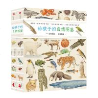 正版 给孩子的自然图鉴(2册)(精)套装 7-8-9-10-12-14岁儿童科普百科书籍 收藏版自然图鉴 孩子从识