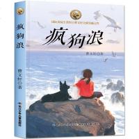 疯狗浪 曹文轩系列书国际安徒生奖草房子青铜葵花作者儿童文学书籍10-11-12-13-14岁三四五六七八年级中小学生