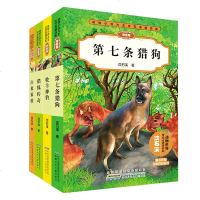 正版沈石溪动物小说大王拼音版精品集第2辑全4册 第七条猎狗 猎狐传奇 白象家族 牧羊神豹 沈石溪精选全集系列注音版