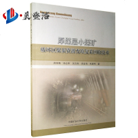 厚煤层小煤矿破坏区煤炭资源充填复采回收技术