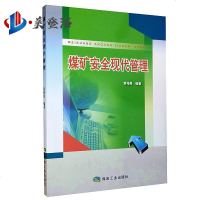 煤矿安全现代管理 袁伟昊主编 煤炭工业出版社