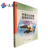 厚煤层边角煤短壁连采技术 煤炭工业出版社