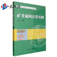 矿井通风计算实例 普通高等教育“十三五”规划教材 煤炭工业出版社