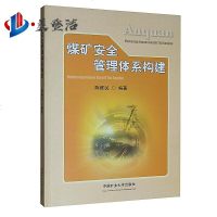 煤矿安全管理体系构建 陈维民 全面风安全管理体系