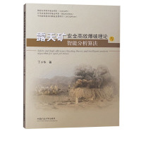 露天矿安全高效爆破理论与智能分析算法 露天煤矿爆破计算书籍