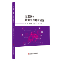 正版互联网+数据平台建设研究宋旭互联网络应用数据处理研究书籍大数据科学技术文献出版社喷水管吸收性压电元件