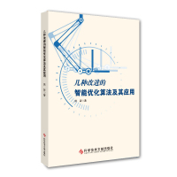 正版几种改进的智能优化算法及其应用武装计算机算法最优化算法书籍计算机书科学技术文献出版社9787518947812