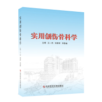 实用创伤骨科学 王一民 刘黎军 邓雪峰 骨损伤诊疗 骨科医学书籍 科学技术文献出版社