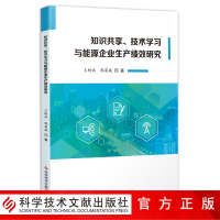 正版 知识共享、技术学习与能源企业生产绩效研究 王树斌郭菊娥 能源工业工业企业管理生产管理 研究书籍