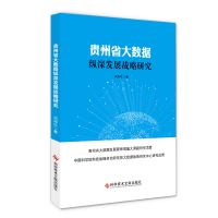 正版 贵州省大数据纵深发展战略研究 冯海红 数据处理信息产业产业发展发展战略研究贵州 书籍