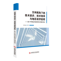 空间视角下的技术进步、技术效率与地区经济差距 中国经济经济发展研究书籍 科学技术文献出版社