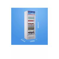 兴南冷柜 LG-228 立式冷柜